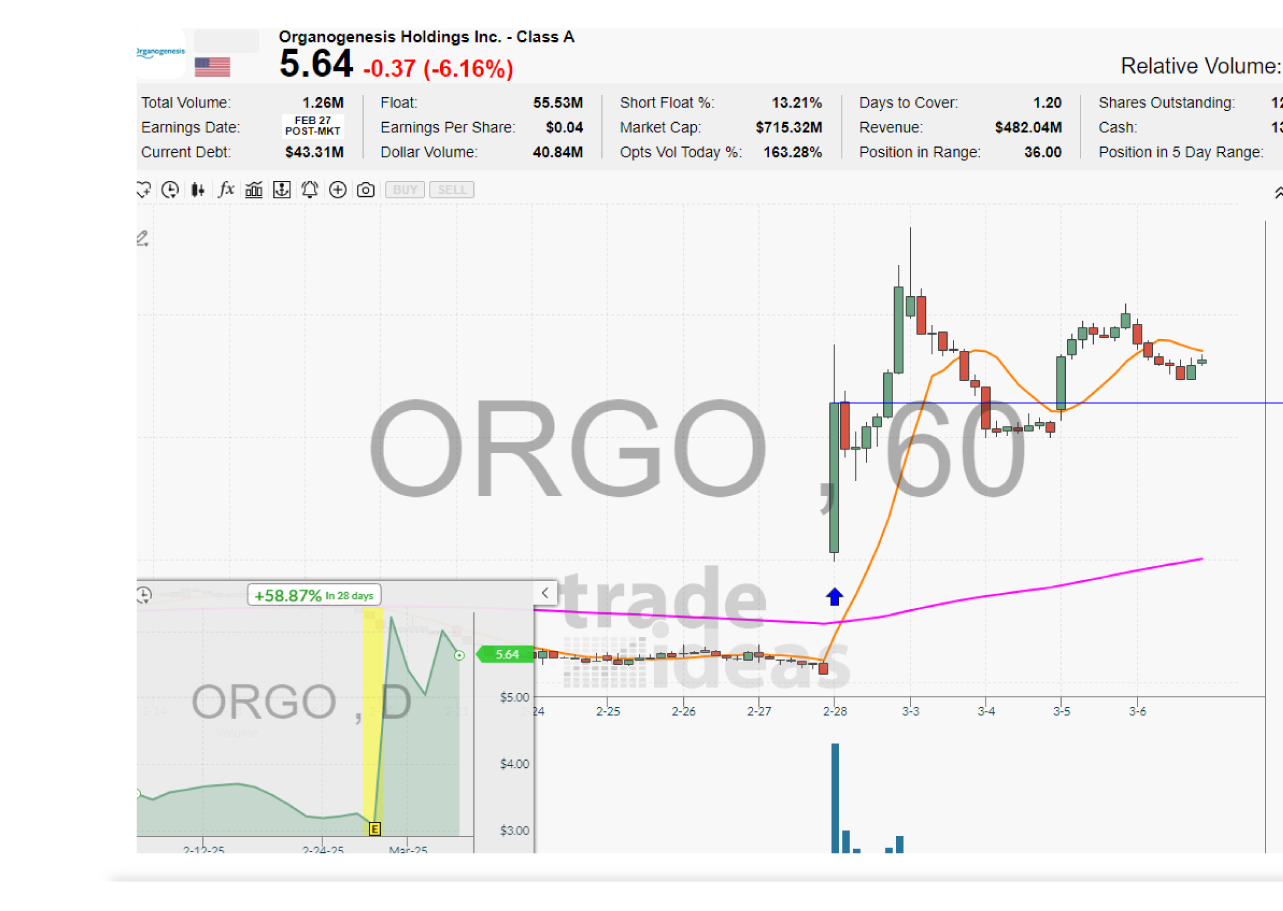 Strategy Developers Icon